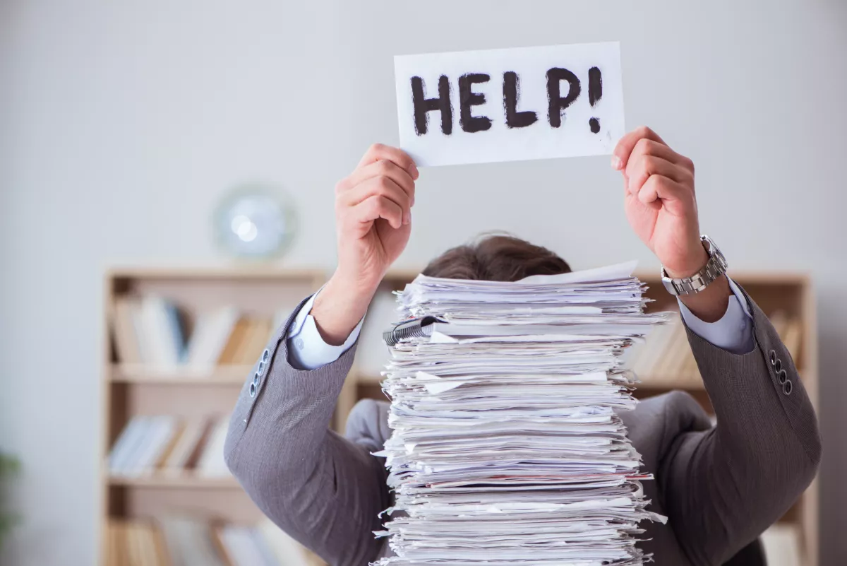 Administrative help in Cologne