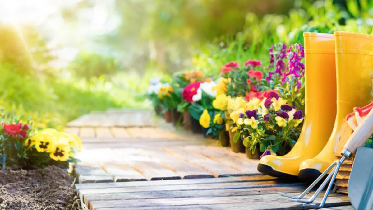 Askaide illustration: Gardening for a practical guide