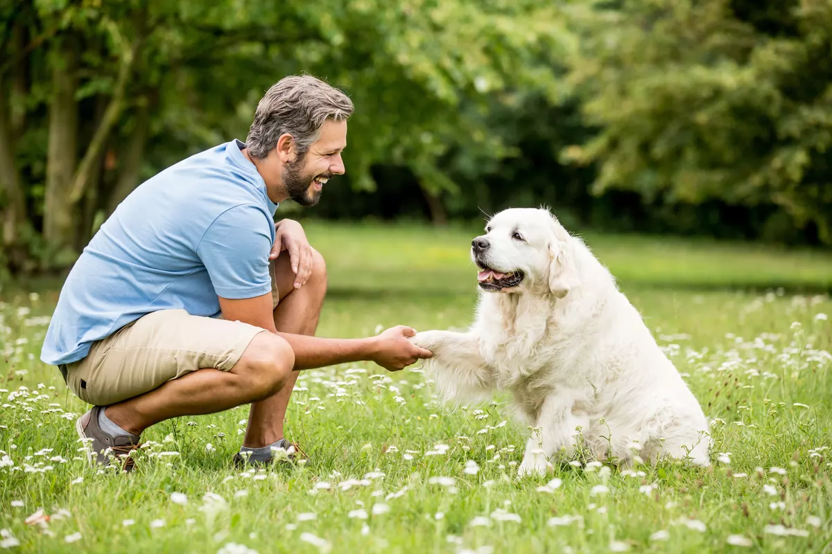 Pet care service in Cologne