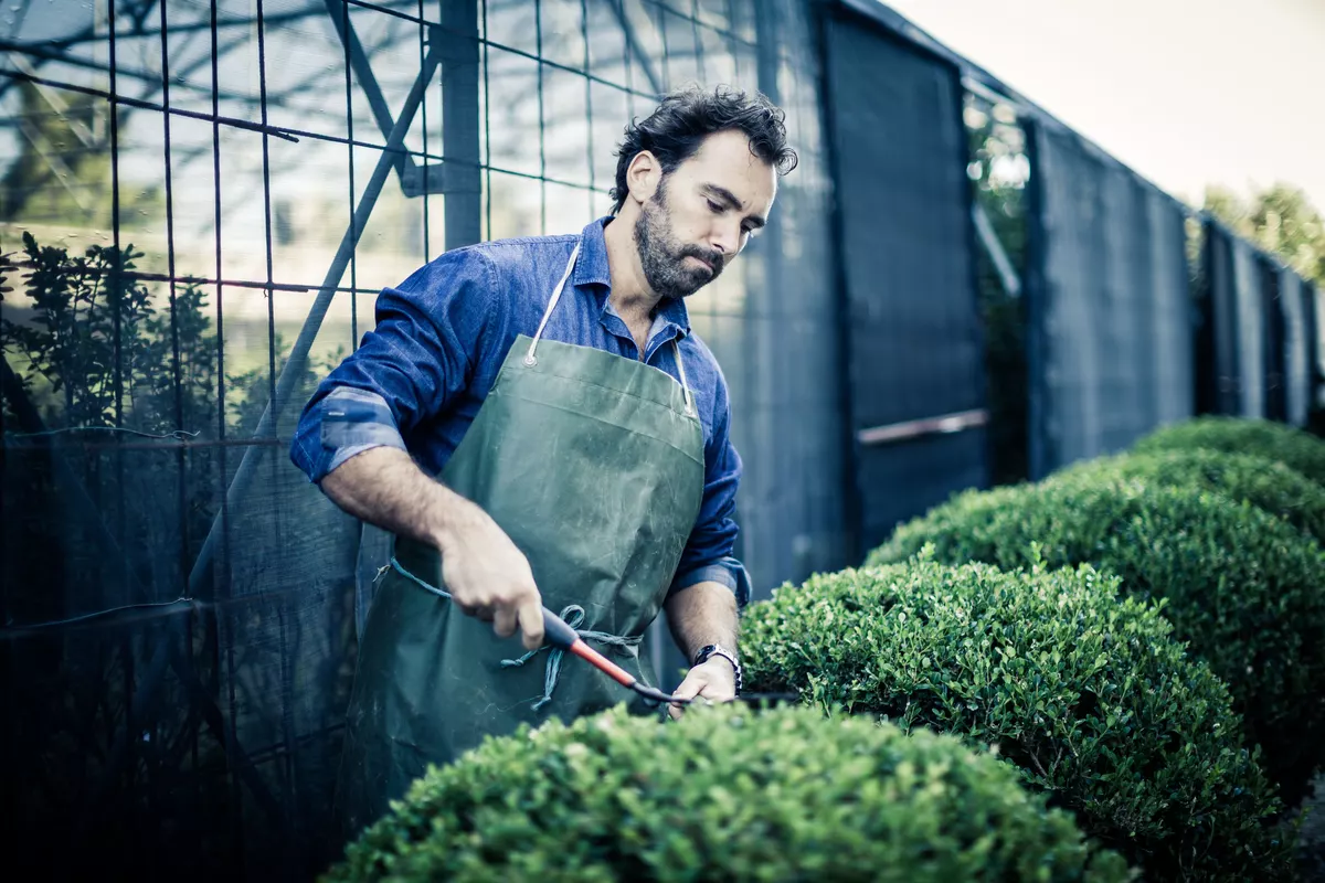 Gardening service in Cologne