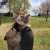Un chez-moi où votre chat se sentira comme chez lui, avec toute l'attention et les soins qu'il mérite en Gif-sur-Yvette